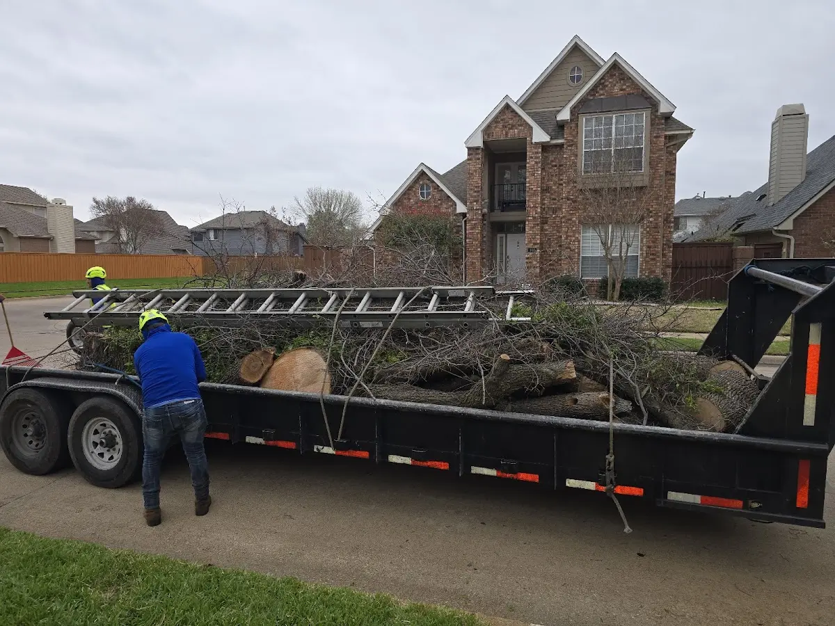 Expert Lot Clearing with proper safety equipment in Todd